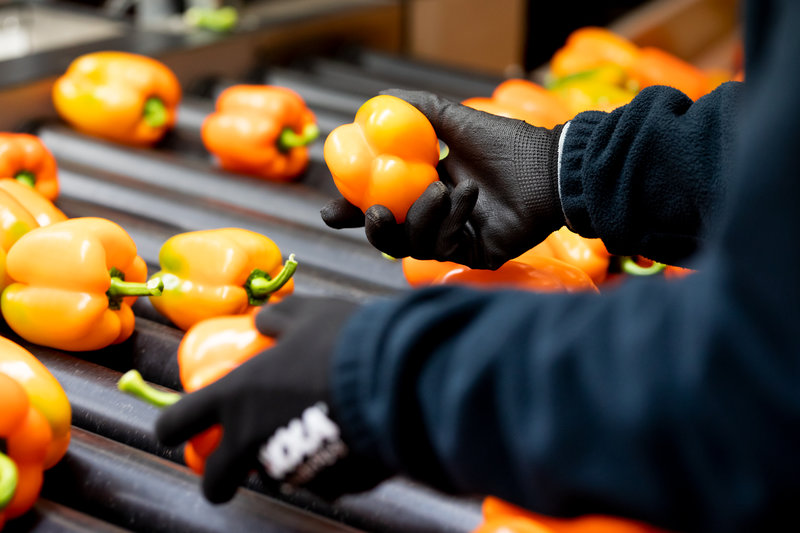 Fresh produce software GreenCommerce helps companies work more efficiently