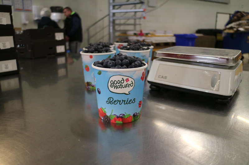 Angus Soft Fruits works with fresh produce software GreenCommerce